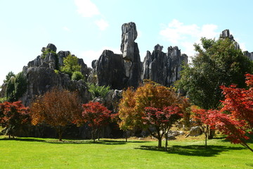 石林风景区