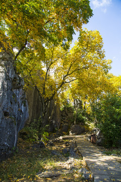 石林风景区