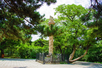 沈阳北陵公园华表柱与树木