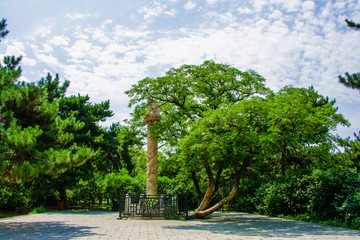 沈阳北陵公园路西华表柱