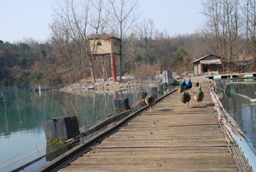 山水风景