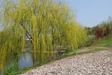 山水愚人岛风景