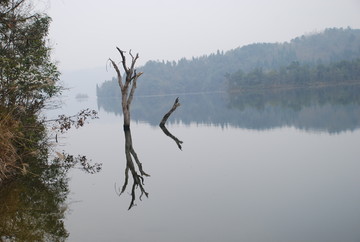 山水愚人岛风景