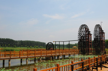 位山黄河湿地公园