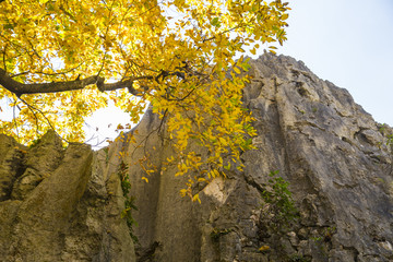 石林风景区