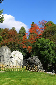 石林风景区