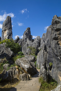 石林风景区