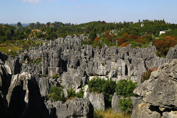 石林风景区