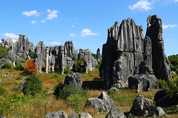 石林风景区