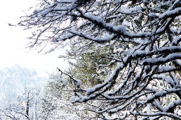 毕棚沟雪景