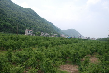 农村风景