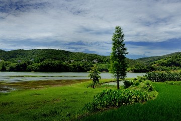 农村风景