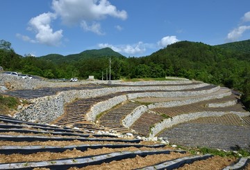 秭归磨坪风景