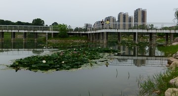 湖景接片