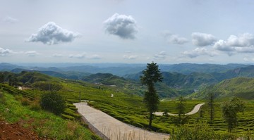 茶山风景接片