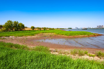 长江江岸