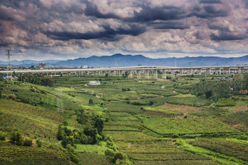 田园风光油画