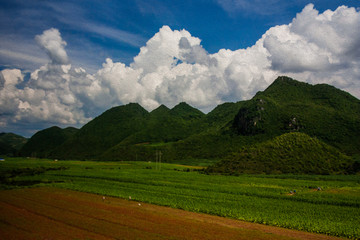 田园风光油画