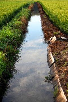 水渠