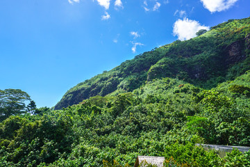 热带山峰