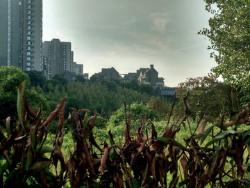 巴滨路江边风景