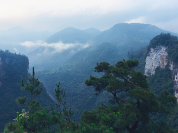 张家界大峡谷