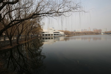 天津大学青年湖倒影