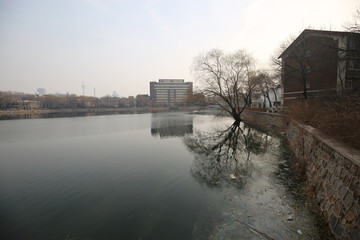 天津大学青年湖