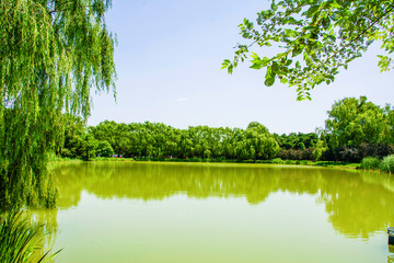 沈阳北陵公园东湖与对岸树林