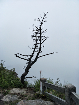 顺昌宝山大圣祖庙遗址