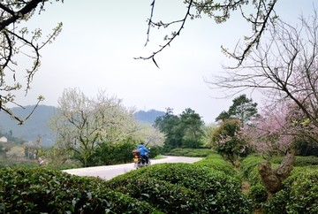 乡间美景