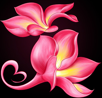 蘭花