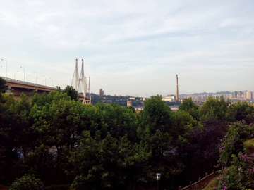 重庆李家沱大桥 江畔风景