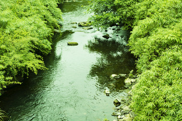 小溪溪水