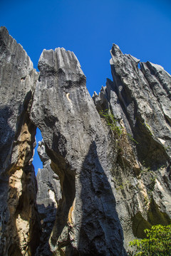 石林风景区