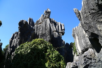 石林风景区