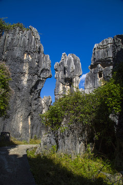 石林风景区