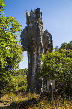 石林风景区