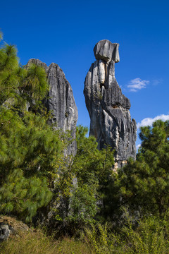 石林风景区