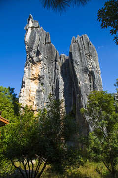 石林风景区