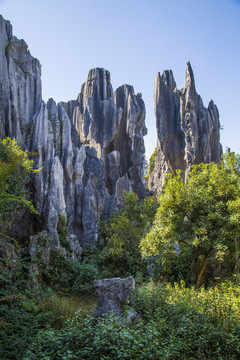 石林风景区