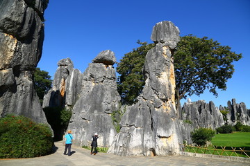 石林风景区