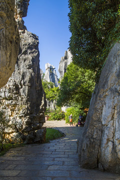 石林风景区