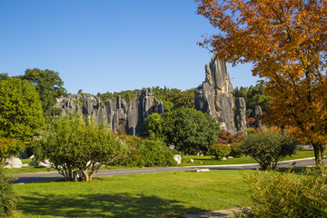 石林风景区