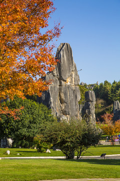 石林风景区