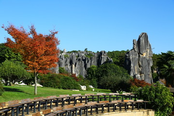 石林风景区