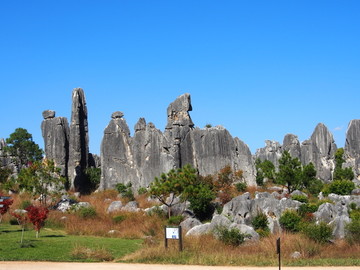 石林风景区