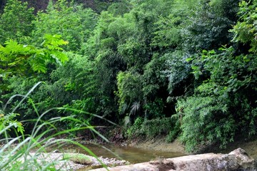 山涧溪流