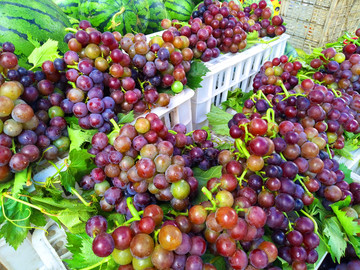 水果市场葡萄