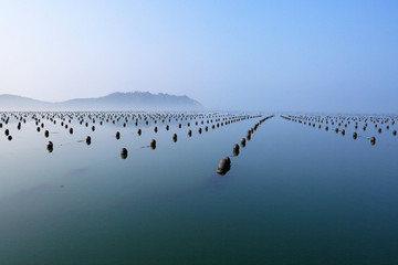 海上养殖区